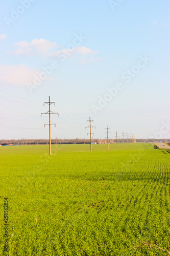 Several electricity pylons on the background of a green field and a car road. High tension.