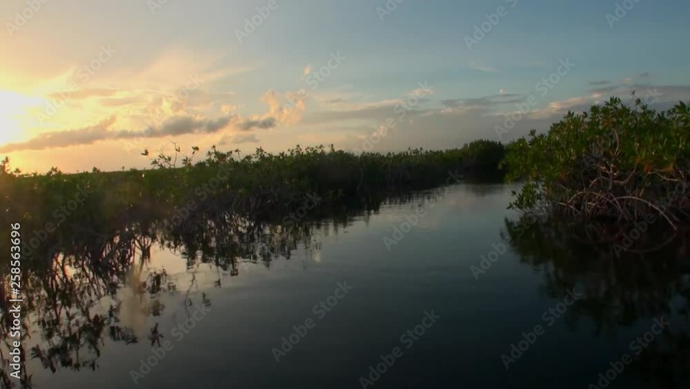 View from moving boat on sunset in Mangroves thickets in river of Sian Ka’an. Biosphere reserve Riviera Maya Quintana Roo Mexico. Unity with nature. View from moving boat on sunset in Mangroves thickets in river of Sian Ka’an. Biosphere reserve Riviera Maya Quintana Roo Mexico. Unity with nature.
