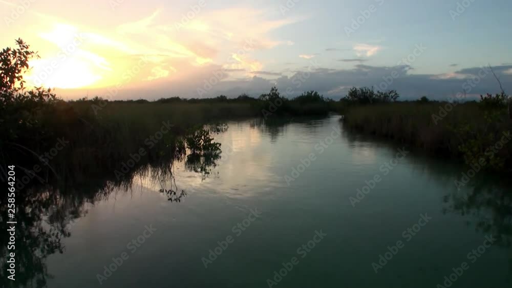 View from moving boat on sunset in Mangroves thickets in river of Sian Ka’an. Biosphere reserve Riviera Maya Quintana Roo Mexico. Unity with nature. View from moving boat on sunset in Mangroves thickets in river of Sian Ka’an. Biosphere reserve Riviera Maya Quintana Roo Mexico. Unity with nature.