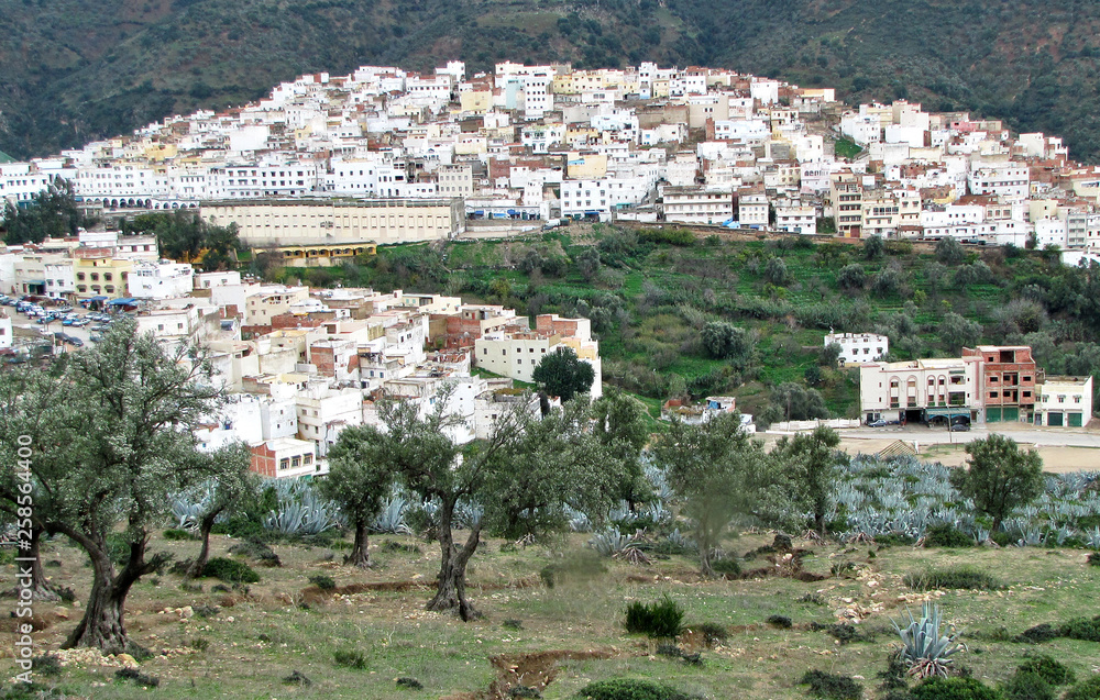 Morocco; panorama view of Moulay Idriss