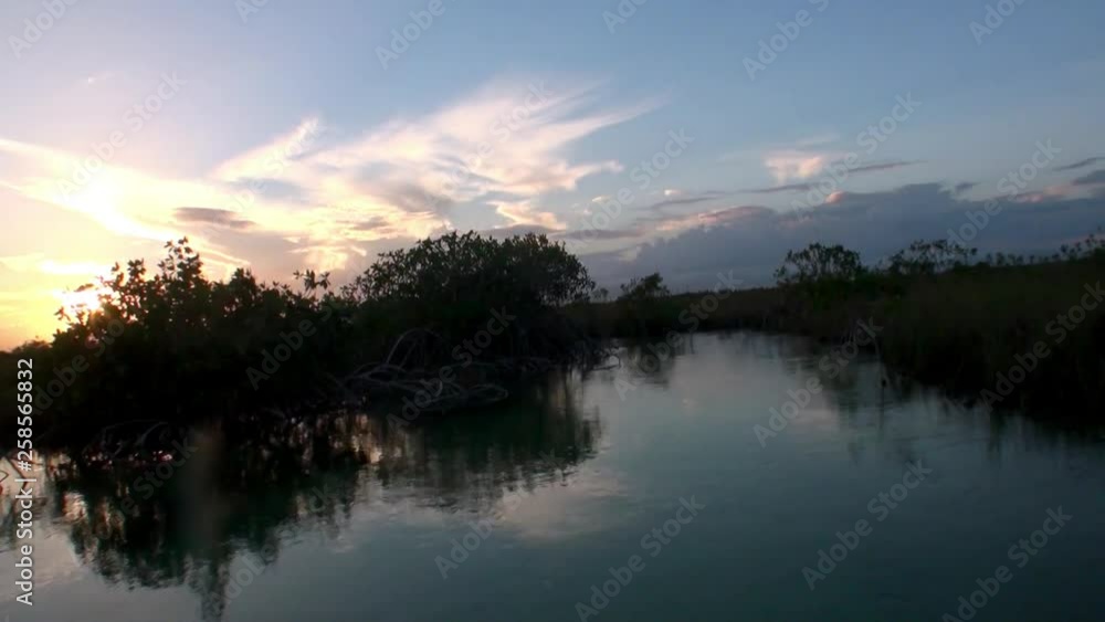 Evening Biosphere reserve Riviera Maya Quintana Roo Mexico. View from moving boat on sunset. Unity with nature. Evening Biosphere reserve Riviera Maya Quintana Roo Mexico. View from moving boat on sunset. Unity with nature.