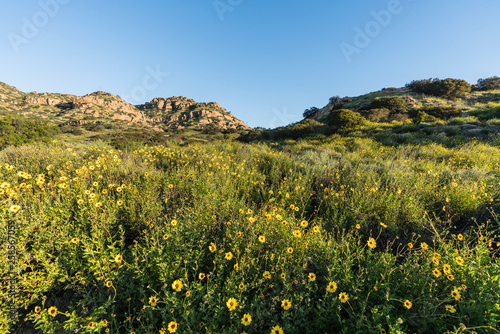San Fernando Valley spring ...