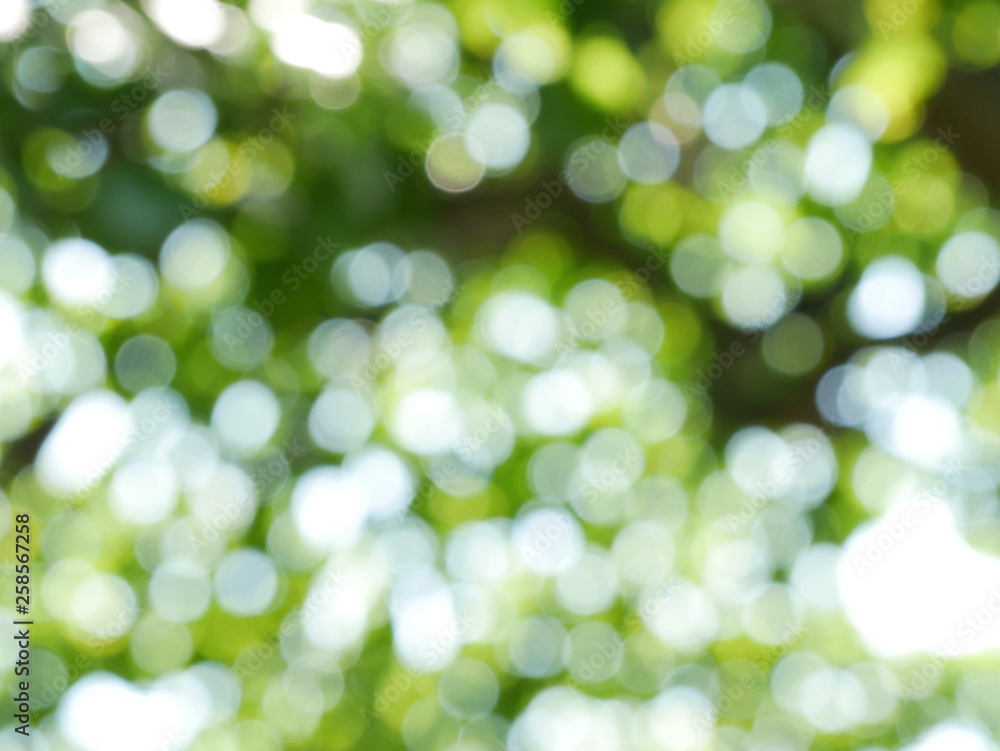 Obraz premium Natural bokeh background.