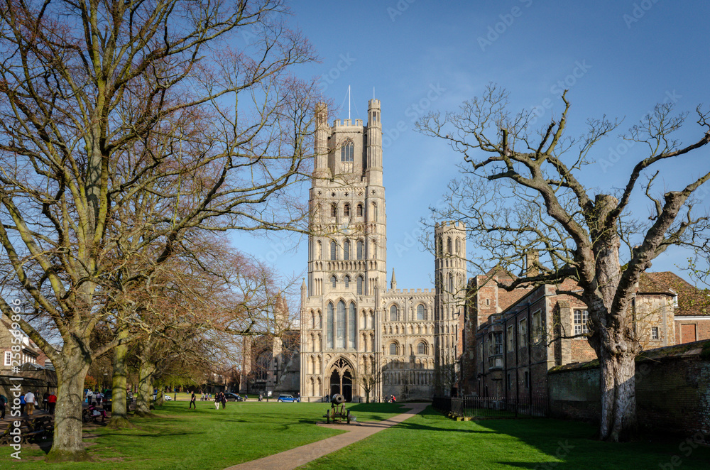 Obraz premium Ely Cathedral in spring with blue sky, England