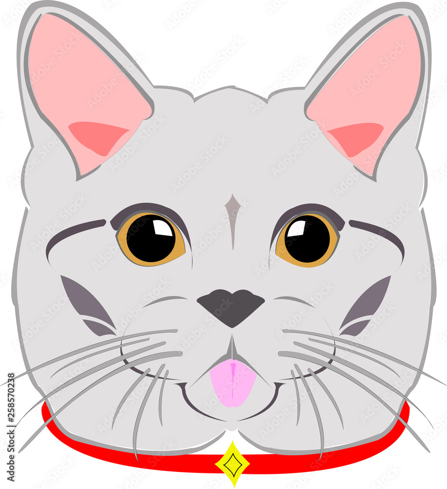vector image of cute cat