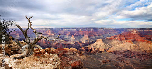 Yaki Point Panorama photo