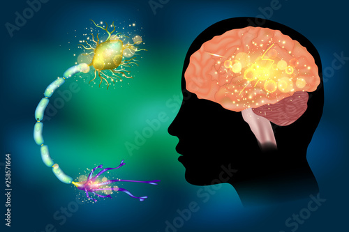 Seizures epilepsy. Anatomy of brain, electrical discharge.