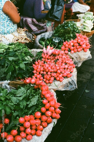 Radish in Salvador (film). 