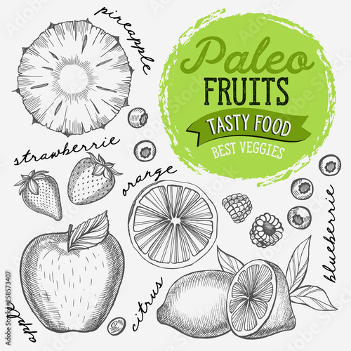 Fruits illustration for paleo diet