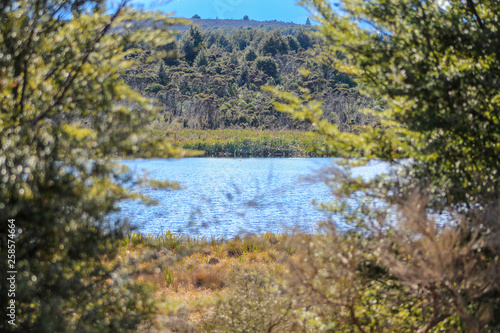 Lake Mistletoe in Southland, South Island, New Zealand