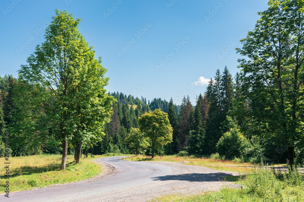 Fototapeta premium road though countryside in mountains. trees along the way. wonderful sunny day