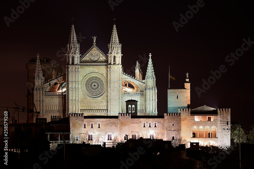 Palma de Mallorca cathedral illuminated on the night