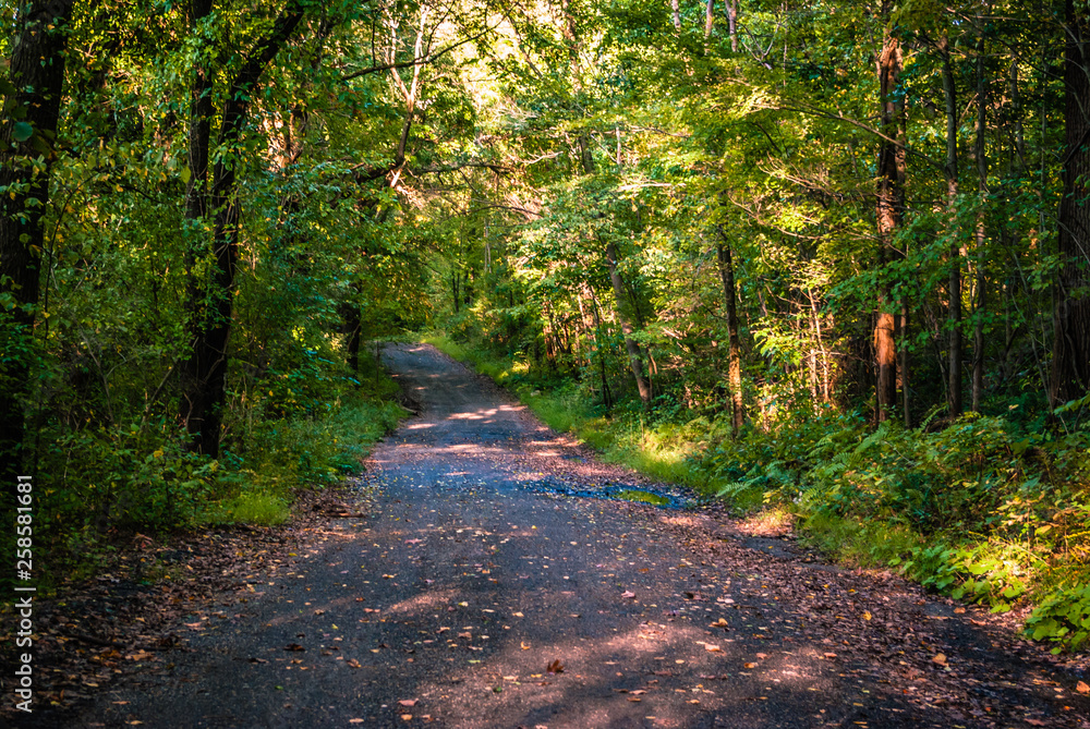 Forrest road Forrest road