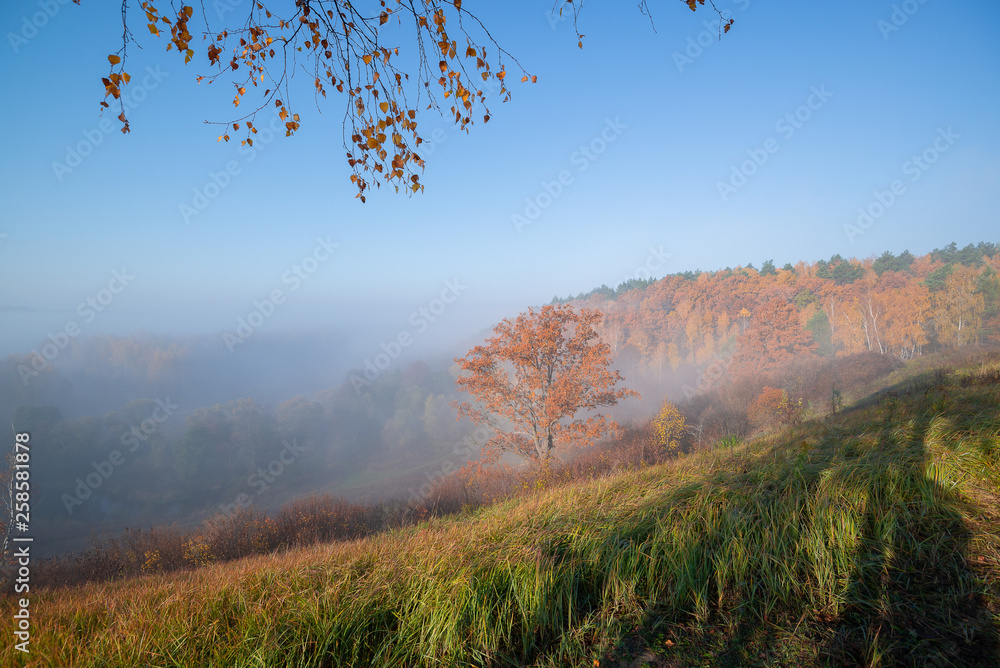 Fototapeta premium Foggy beautiful morning