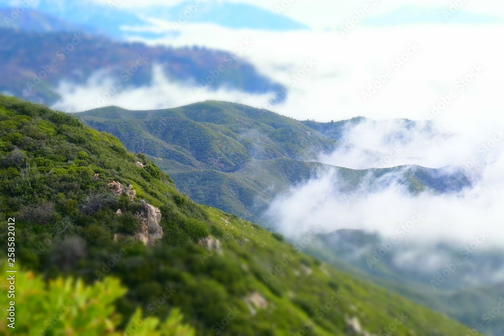 Obraz premium Fog coming up the canyon, California