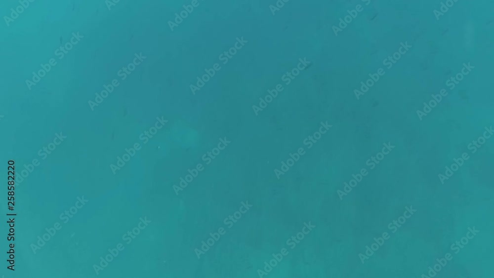 Turquoise blue water - underwater Turquoise blue water - underwater