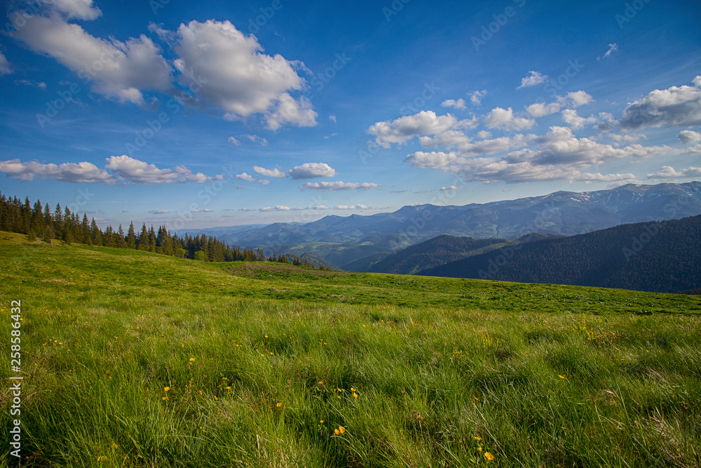Mountain summer panoramic landscape with blue sky and clouds. Carpathians Mountain summer panoramic landscape with blue sky and clouds. Carpathians