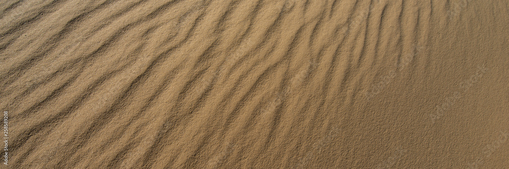 wavy sand surface in the dunes on a sunny day, close-up. Web banner. wavy sand surface in the dunes on a sunny day, close-up. Web banner.