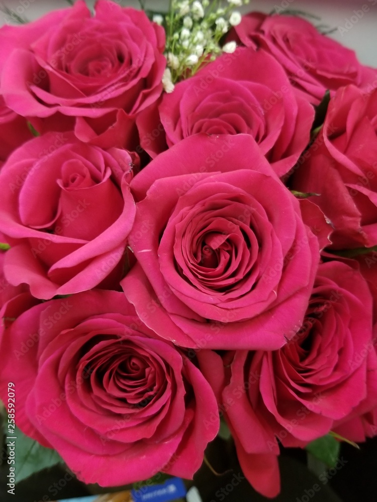 Fototapeta premium Bukiet Miłości