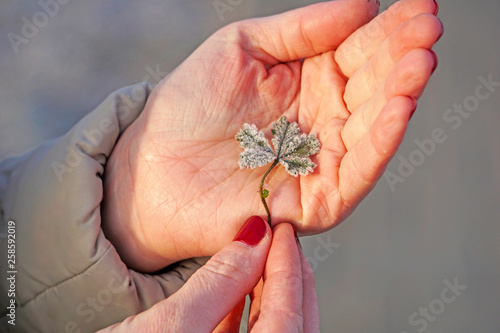 A sheet covered with frost lies on the girl's hands, the background