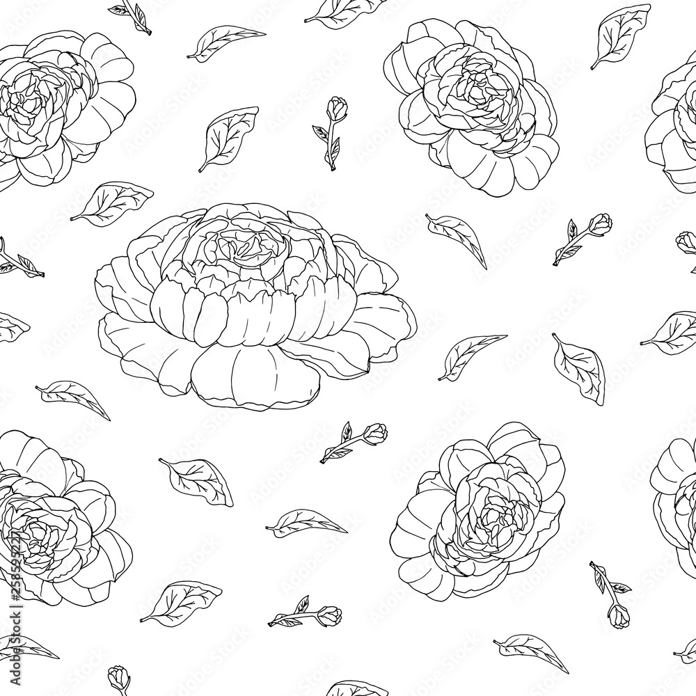 Fototapeta premium seamless pattern with hand drawn peonies black and white lines vector illustration