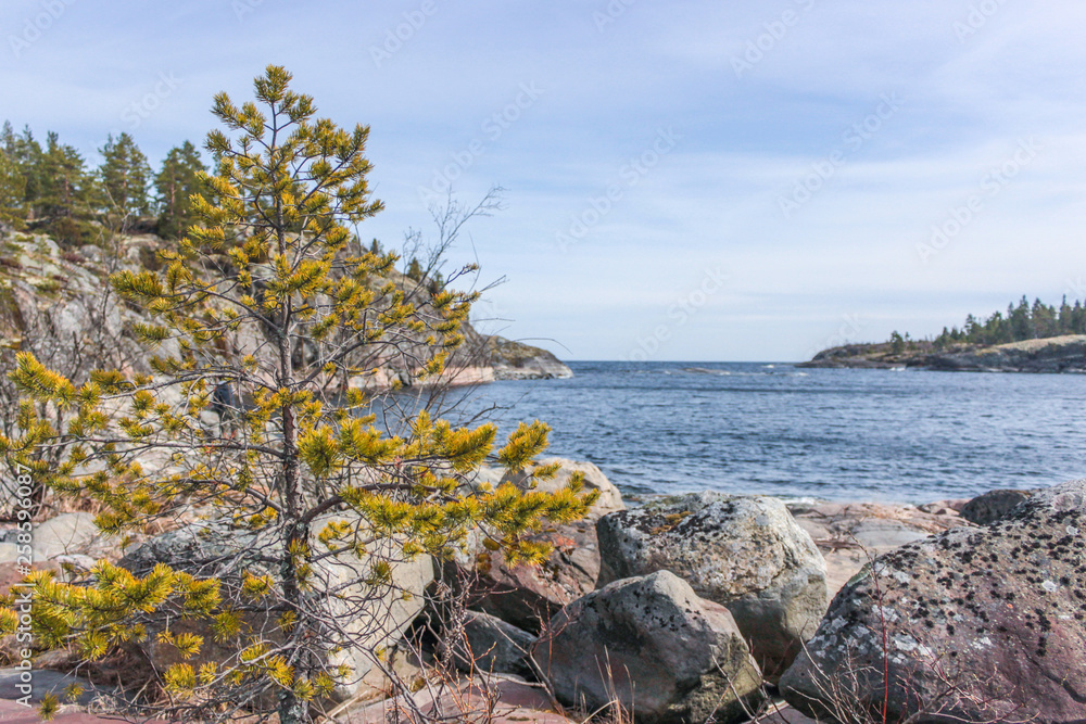 Cold Northern spring on lake Ladoga Cold Northern spring on lake Ladoga