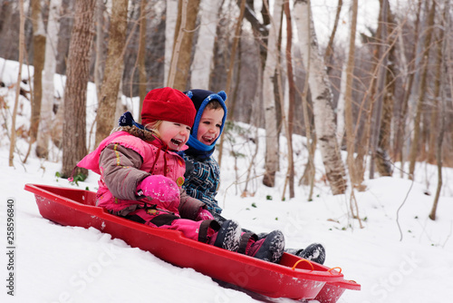 Obraz na plátně Brother and sisters (5 and 3 yrs old) sledging together in Quebec in winter