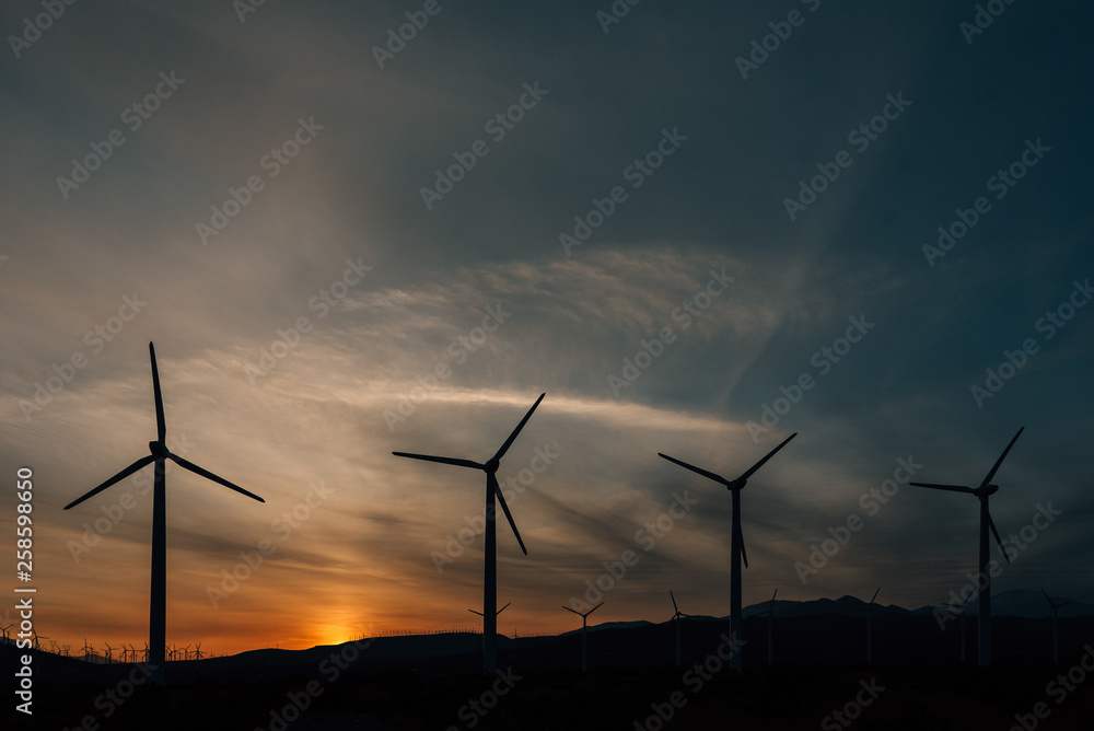 Obraz premium Windmills at sunset, at the San Gorgonio Pass wind farm in Palm Springs, California