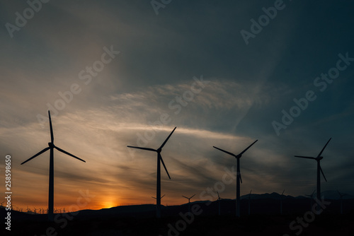 Windmills at sunset, at the San Gorgonio Pass wind farm in Palm Springs, California