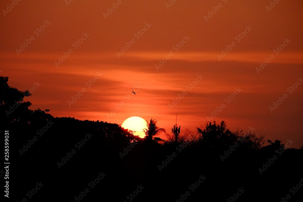 Silhouette sunset with orange sky and top trees shadow 