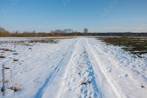 Snow-covered country road. Forest on the horizon and blue sky
