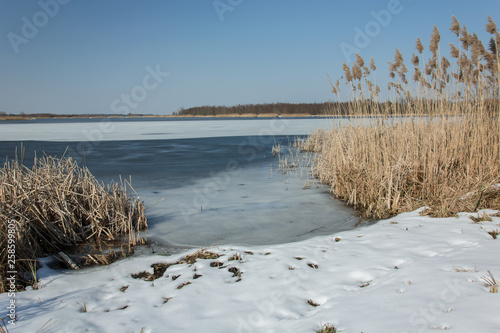 Snow on the shore of a frozen lake and high reeds. Horizon and blue sky