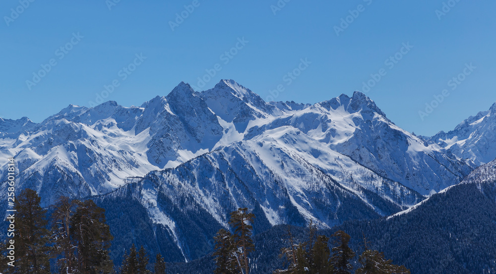 Snow-capped mountains and coniferous trees of the North Caucasus