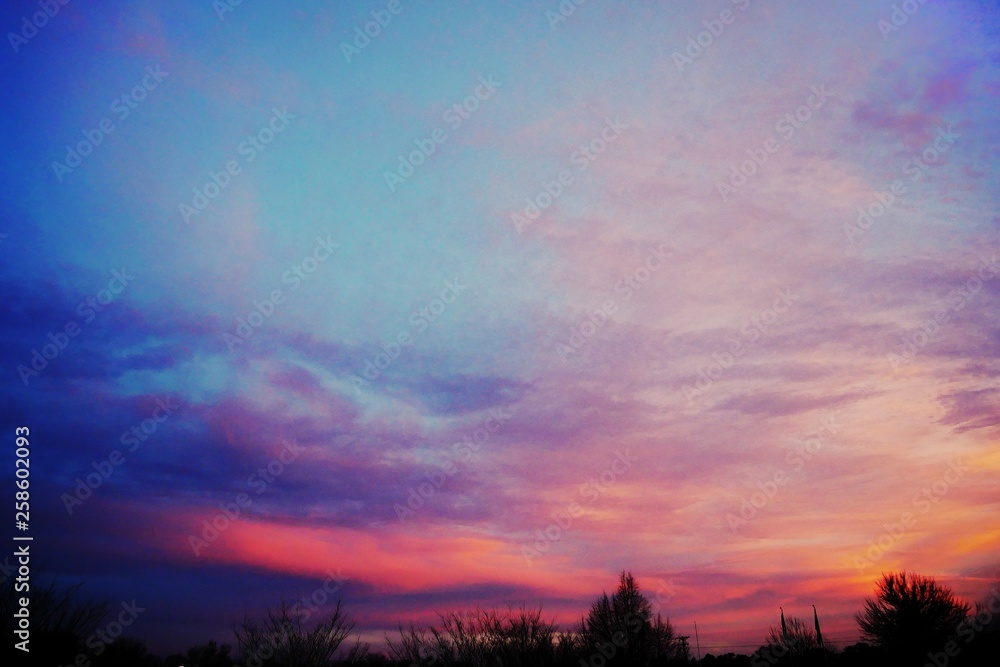 Obraz premium Springtime lightshow