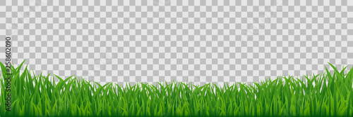 Green Meadow Grass Border Isolated On Transparent Vector Background.