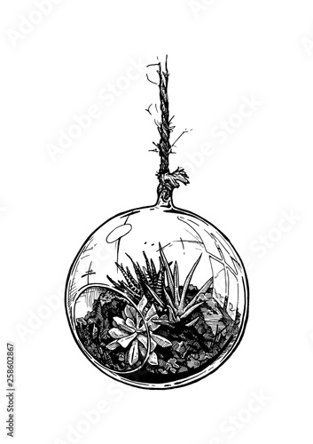 Planted houseplants in suspension glass ball set