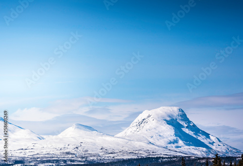 Scandinavian mountain range covered by ice and snow, blue skies, pine forest below the tops