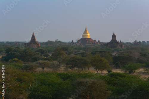 Golden Dhammayazika Pagoda at dawn in Bagan Archaeological Zone, Myanmar (Burma)