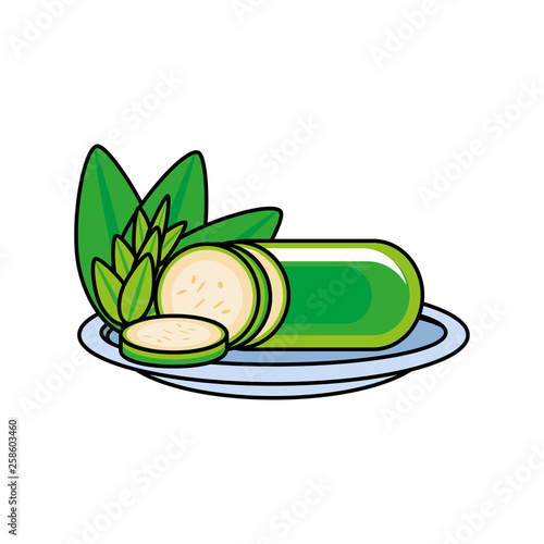 fresh cucumber in dish vegetable icon