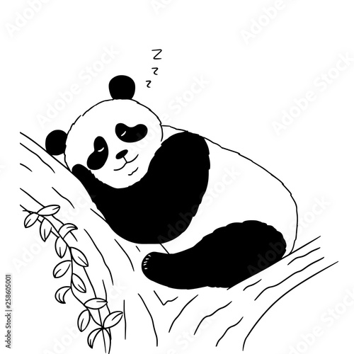 Sleeping cute panda on white background. Vector illustration of sleeping panda on tree. Animal sketch drawn by hand.