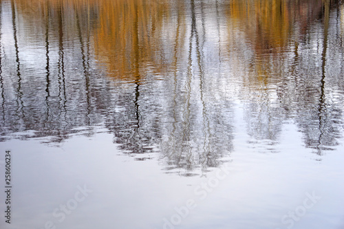 Autumn motley trees reflected in the water