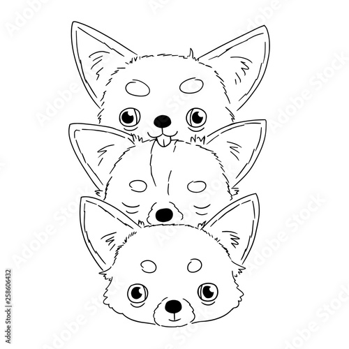 Sketches of cute heads of chihuahua on white background. Vector illustration of hand drawn doggies in funny situation.