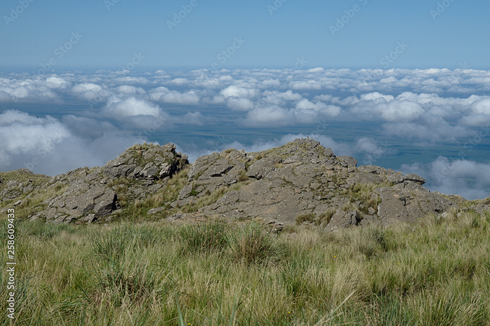The view at The view at