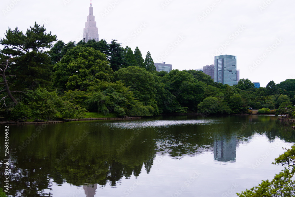 lake in park