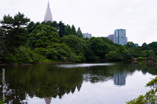Obraz na płótnie lake in park w salonie
