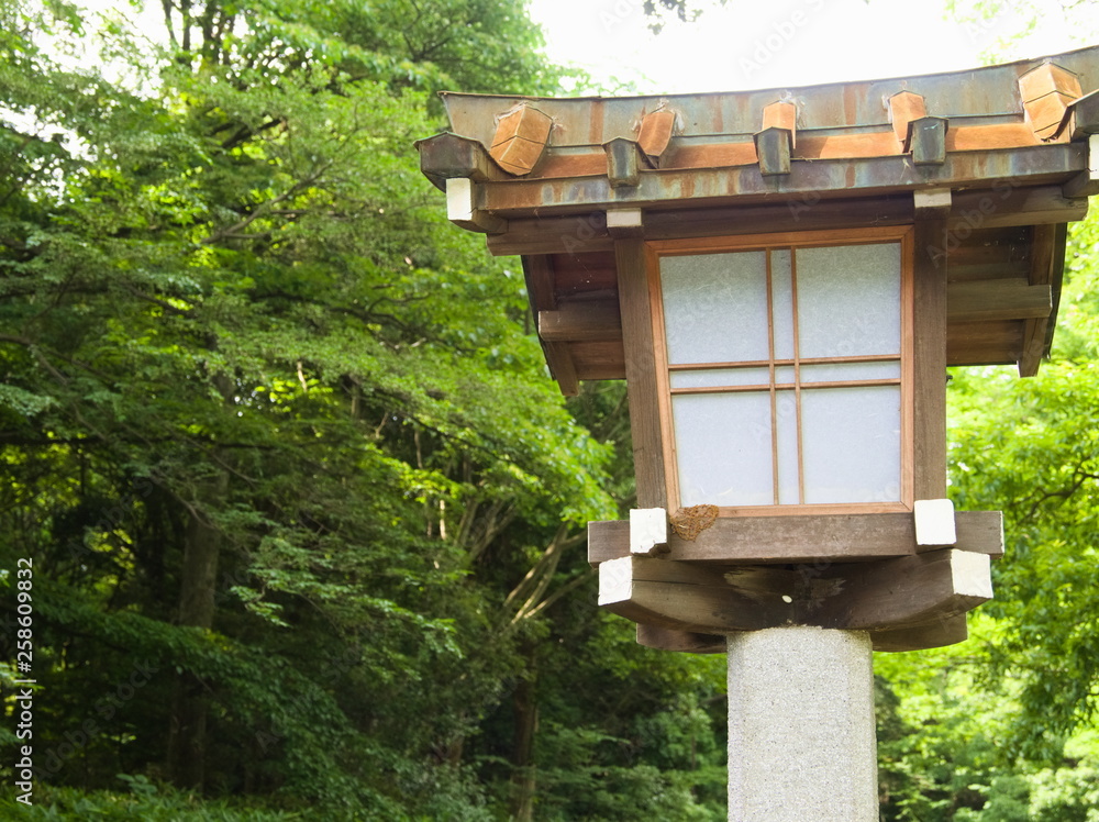 house in the forest