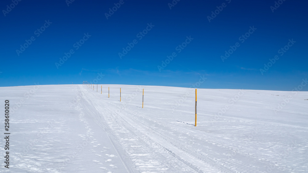 Panoramic view on ski runway on Feldberg - Black forest