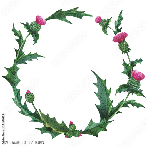Wreaths from thistle for decoration