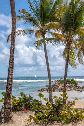 PLAGE DE LA CARAVELLE GUADELOUPE