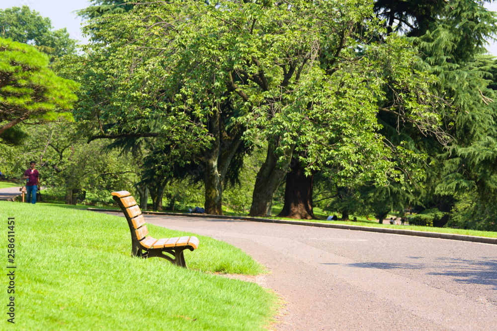 woman walking in park